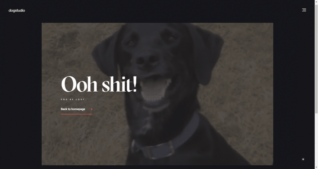 Dogstudio 404